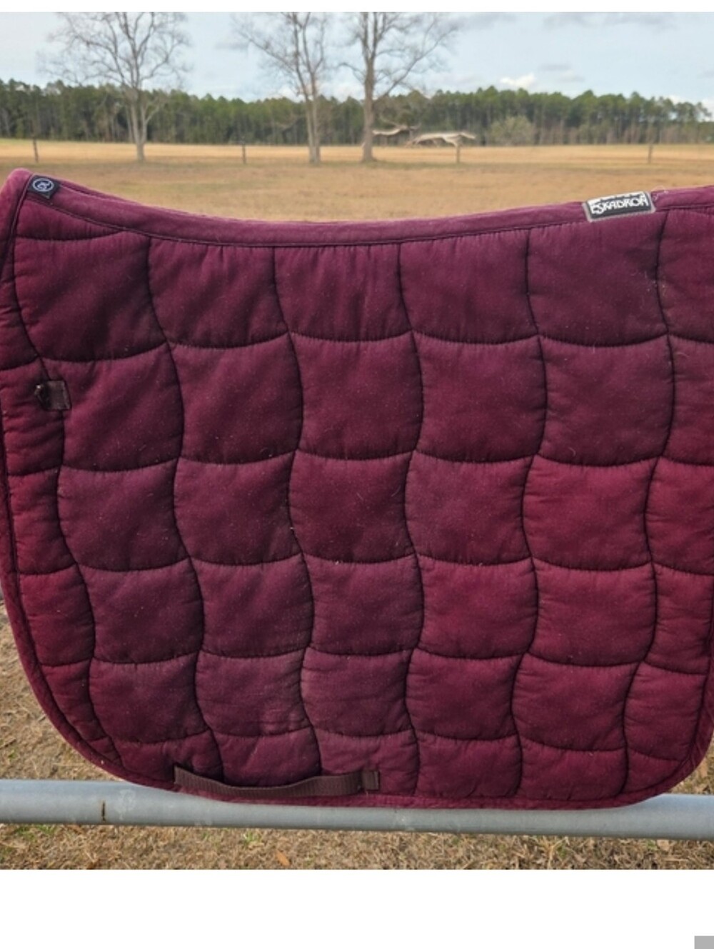 Eskadron Dressage Pad